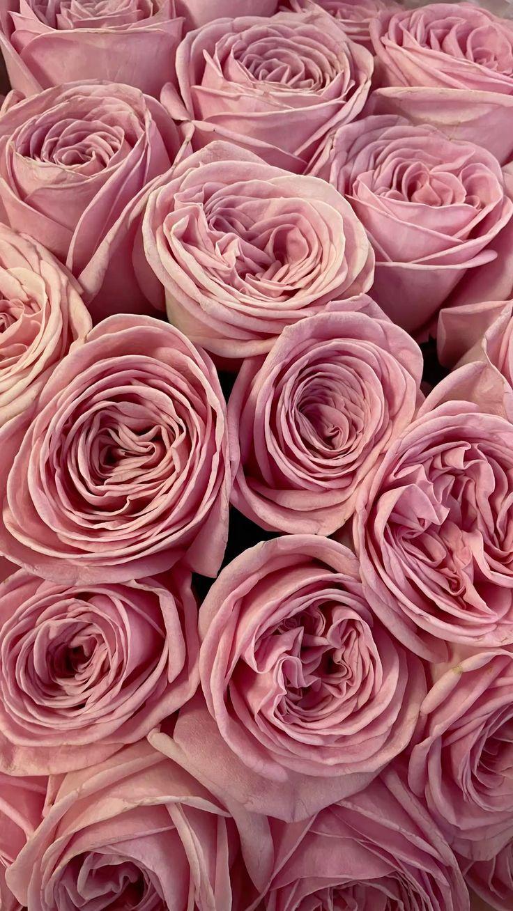 MarbleTrailPaper workshop space where corporate flower arrangements are designed and prepared for business delivery